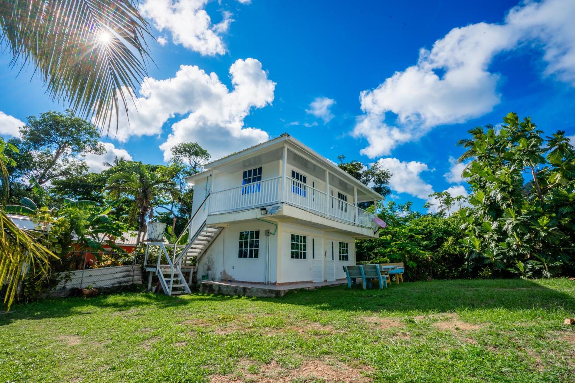 Posada Mango Tree Bahia Suroeste Exterior photo